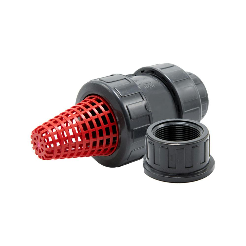 3" Socket Gray PVC True Union Check Valve with FKM O-Ring