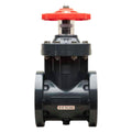3" PVC Gate Valve