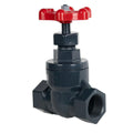 1/2" Threaded PVC Globe Valve