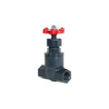 3/4" Threaded PVC Globe Valve