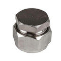 3/4" D1 Duratec® Nickel Plated Brass Cap