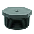 2-1/2" Schedule 80 Gray PVC Threaded Plug