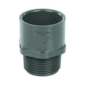 1-1/4" Schedule 40 Gray PVC MIPT x Socket Male Adapter