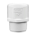 1-1/4" Schedule 40 White PVC MIPT x Socket Male Adapter