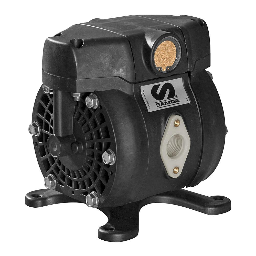 3/8" DF30 Direct Flo 10 GPM Pump with Polypropylene Body & Santoprene™ Diaphragm
