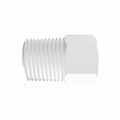 1/8" NPT Natural Polypropylene Threaded Plug