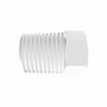 1/4" NPT Natural Polypropylene Threaded Plug