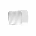 3/8" NPT Natural Polypropylene Threaded Plug