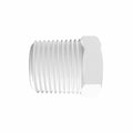 1/2" NPT Natural Kynar® PVDF Threaded Plug
