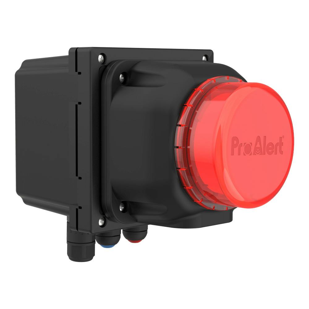 ProAlert® 2 Series Visual & Audible Sentry Alarm with Leak Detection Module