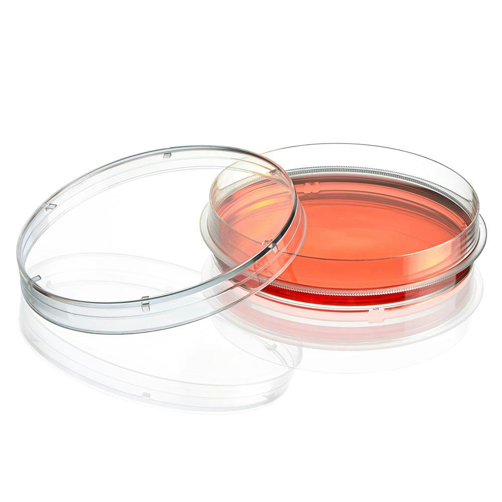 100mm Dia. x 20mm Hgt. Sterile Clear Polystyrene TC-Treated Diamond® SureGro™ Cell Culture Dish with Gripping Ring - 10 per Bag; 30 Bags per Case