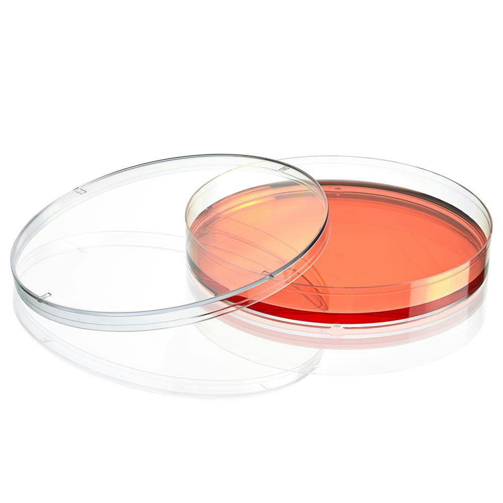 150mm Dia. x 20mm Hgt. Sterile Clear Polystyrene TC-Treated Diamond® SureGro™ Cell Culture Dish - 5 per Bag; 20 Bags per Case