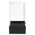 Clear Polystyrene Showcase Box with Black Pedestal - 1-3/16" L x 1-3/16" W x 2-3/16" Hgt. (Case of 25)