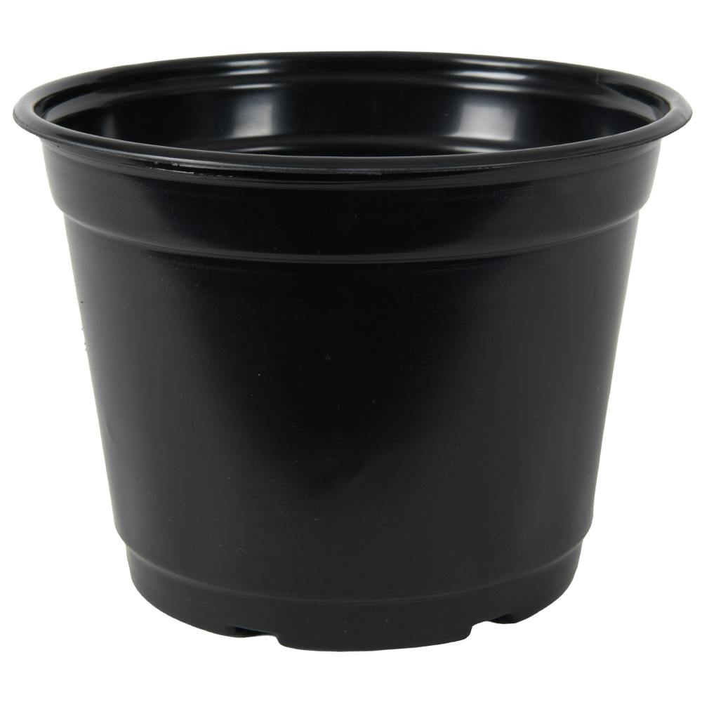 6" Round Black Thermoformed Maxi-Grow Azalea Plant Pot - 6" Dia. X 4.38" Hgt. (Case of 220)