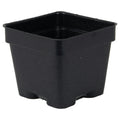 3" Square Black Thermoformed Plant Pot - 2.63" L x 2.63" W x 2.25" Hgt. (Case of 800)