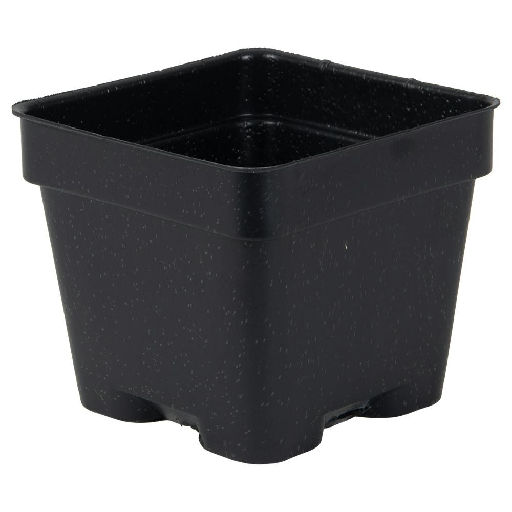3" Square Black Thermoformed Plant Pot - 2.63" L x 2.63" W x 2.25" Hgt. (Case of 800)