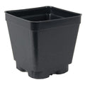 4" Square Black Thermoformed Plant Pot - 3.5" L x 3.5" W x 3.5" Hgt. (Case of 450)