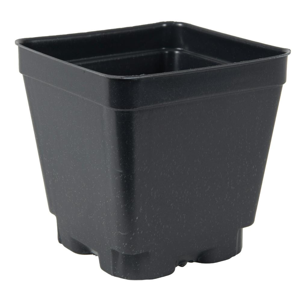 4" Square Black Thermoformed Plant Pot - 3.5" L x 3.5" W x 3.5" Hgt. (Case of 450)