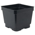 4.5" Square Black Thermoformed Plant Pot - 4.19" L x 4.19" W x 3.63" Hgt. (Case of 375)