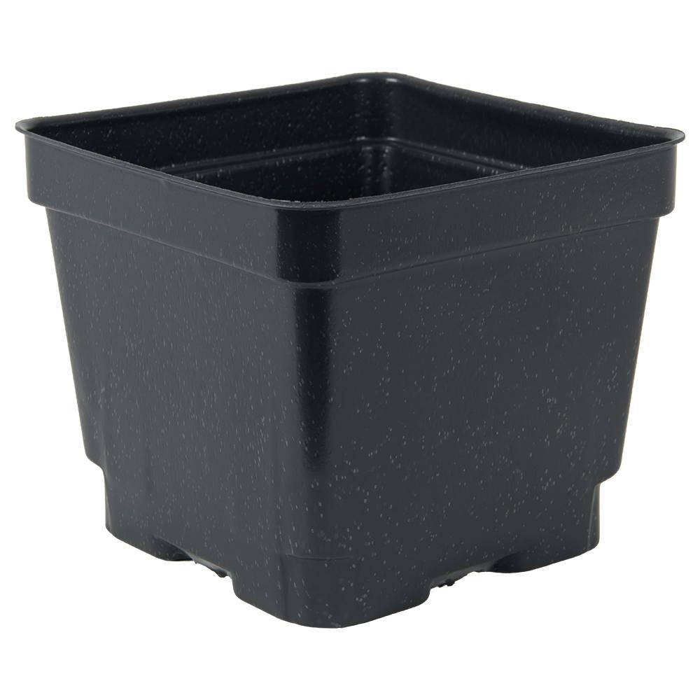 4.5" Square Black Thermoformed Plant Pot - 4.19" L x 4.19" W x 3.63" Hgt. (Case of 375)