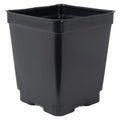 4.5" Square Black Thermoformed Deep Plant Pot - 4.19" L x 4.19" W x 4.88" Hgt. (Case of 375)