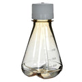 250mL Clear Polycarbonate Sterile Baffled-Bottom Erlenmeyer Flask with 38/430 White Polypropylene Non-Vented Cap - Case of 12
