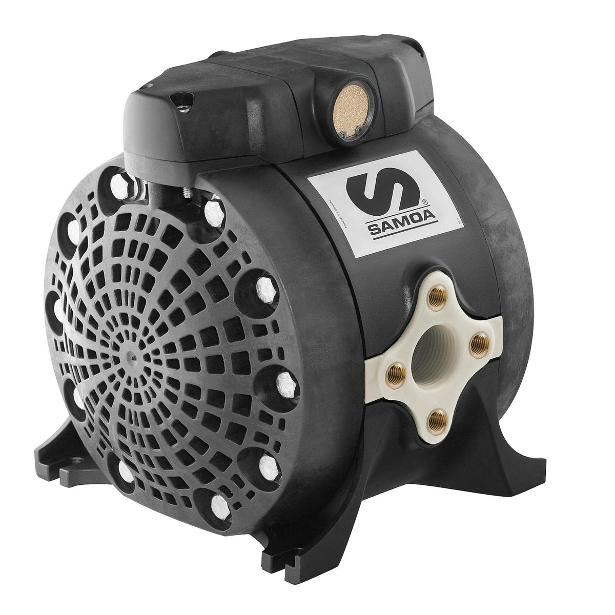 3/4" DF100 Direct Flo 28 GPM Pump with Polypropylene Body & Santoprene™ Diaphragm