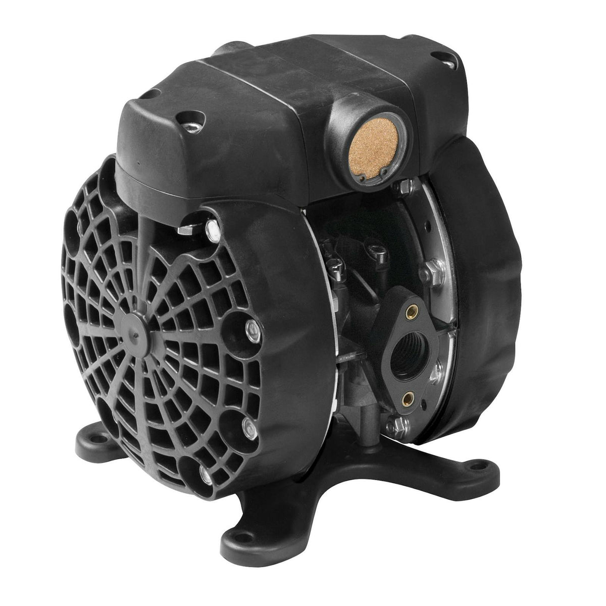 1/2" DF50 Direct Flo 14 GPM Pump with Conductive Acetal Body & PTFE Diaphragm